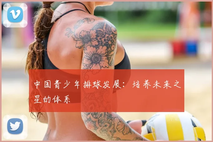 中国青少年排球发展：培养未来之星的体系