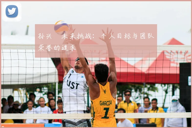 孙兴慜未来挑战：个人目标与团队荣誉的追求