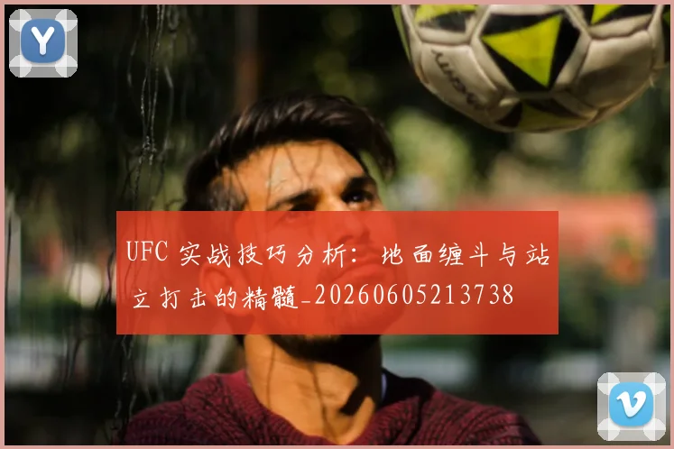 UFC 实战技巧分析:地面缠斗与站立打击的精髓_20260605213738